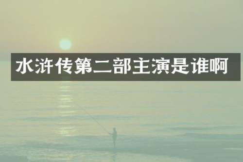 水浒传第二部主演是谁啊