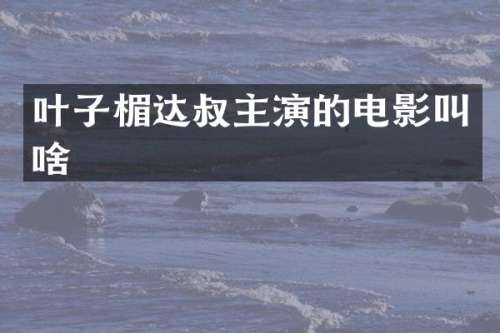 达叔主演的电影叫啥