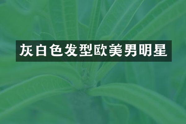 灰白色发型欧美男明星