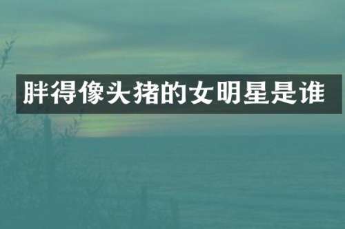 胖得像头猪的女明星是谁
