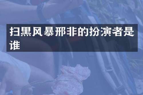 扫黑风暴邢非的扮演者是谁
