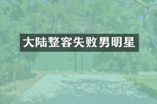 大陆整容失败男明星