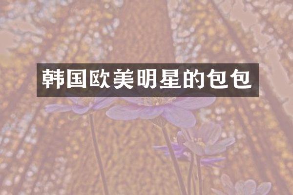 韩国欧美明星的包包