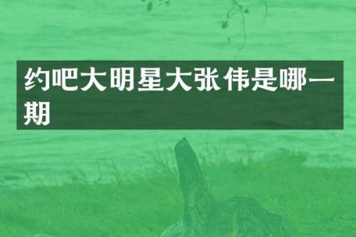 约吧大明星大张伟是哪一期