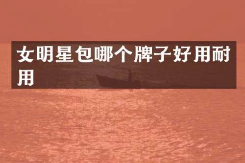 女明星包哪个牌子好用耐用