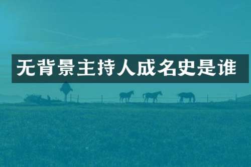 无背景主持人成名史是谁