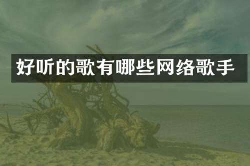 好听的歌有哪些网络歌手
