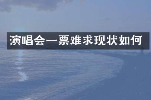 演唱会一票难求现状如何