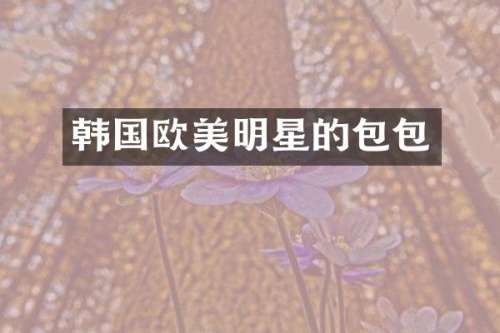 韩国欧美明星的包包