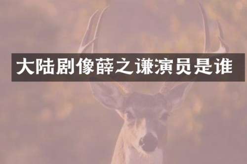 大陆剧像薛之谦演员是谁