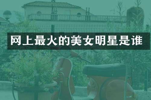 网上最火的明星是谁