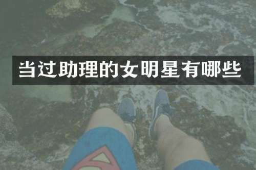 当过助理的女明星有哪些