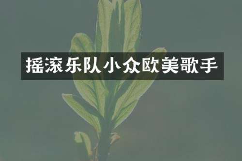 摇滚乐队小众欧美歌手