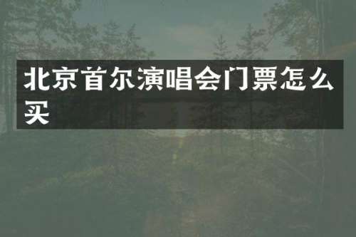 北京首尔演唱会门票怎么买