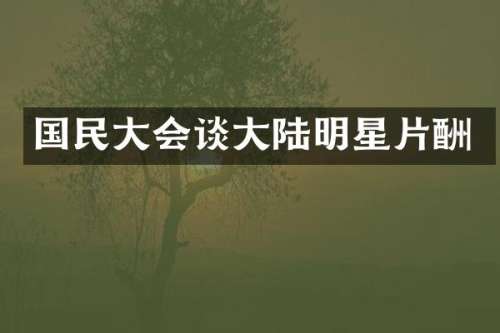国民大会谈大陆明星片酬