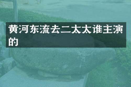 黄河东流去二太太谁主演的