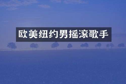 欧美纽约男摇滚歌手