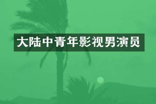大陆中青年影视男演员