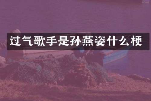 过气歌手是孙燕姿什么梗