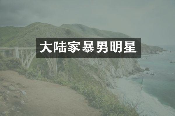 大陆家暴男明星