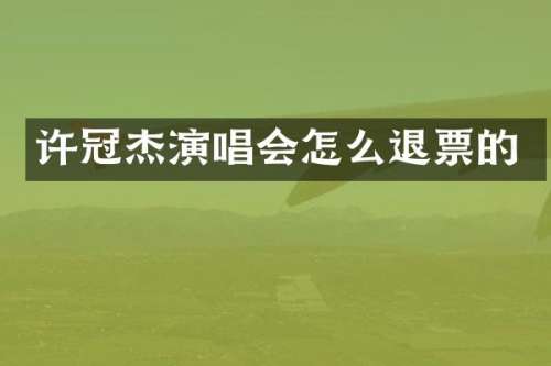 许冠杰演唱会怎么退票的