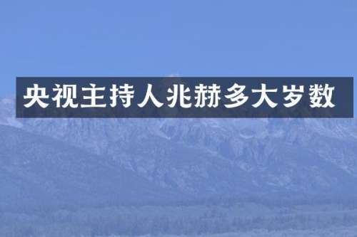 央视主持人兆赫多大岁数