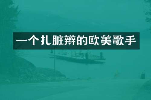 一个扎脏辫的欧美歌手