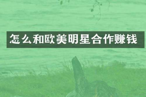 怎么和欧美明星合作赚钱