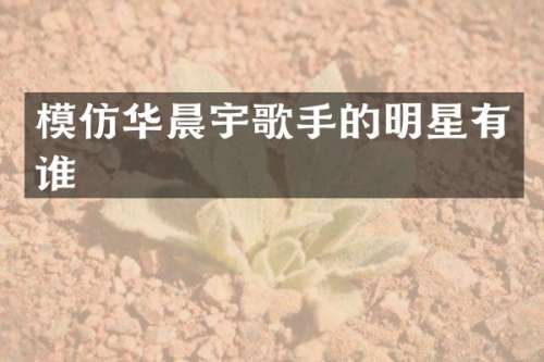 模仿华晨宇歌手的明星有谁