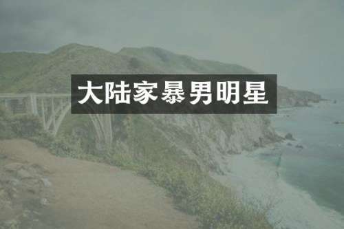 大陆家暴男明星