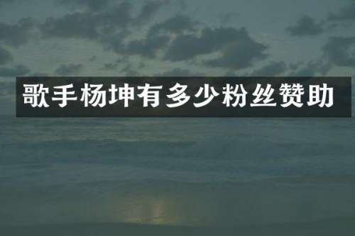 歌手杨坤有多少粉丝赞助