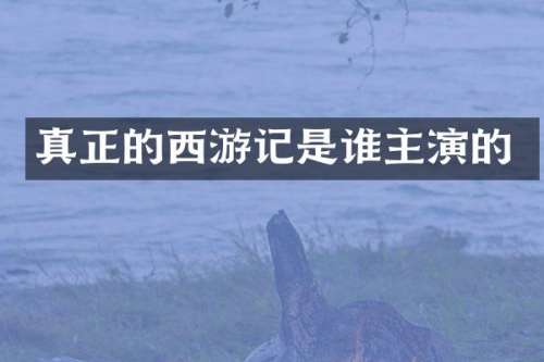真正的西游记是谁主演的