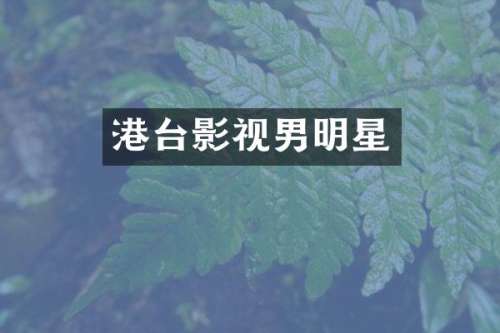 港台影视男明星