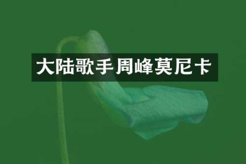 大陆歌手周峰莫尼卡