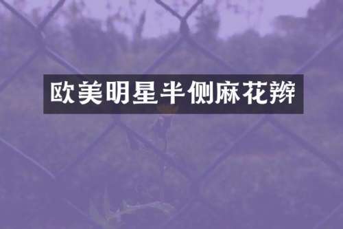 欧美明星半侧麻花辫