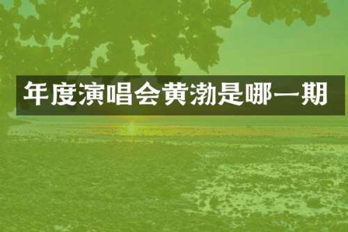 年度演唱会黄渤是哪一期