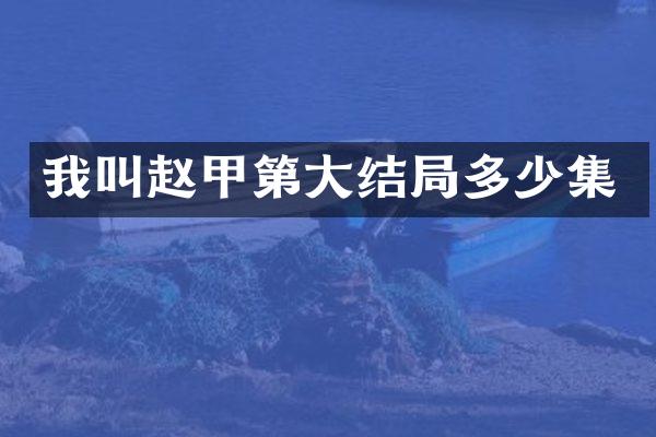 我叫赵甲第大结局多少集