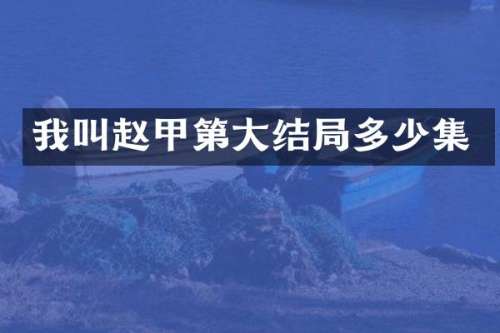 我叫赵甲第大结局多少集