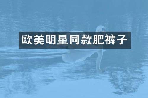 欧美明星同款肥裤子
