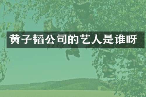 黄子韬公司的艺人是谁呀