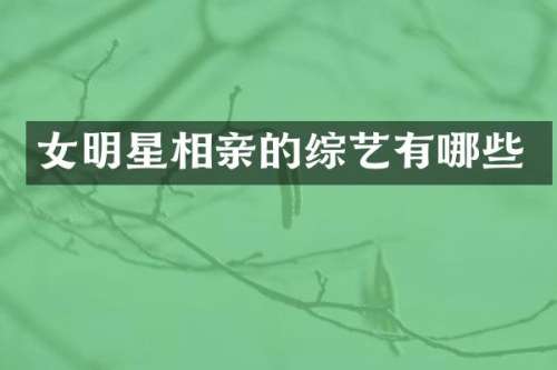 女明星相亲的综艺有哪些