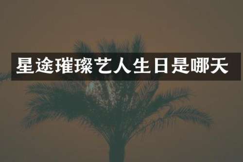 星途璀璨艺人生日是哪天