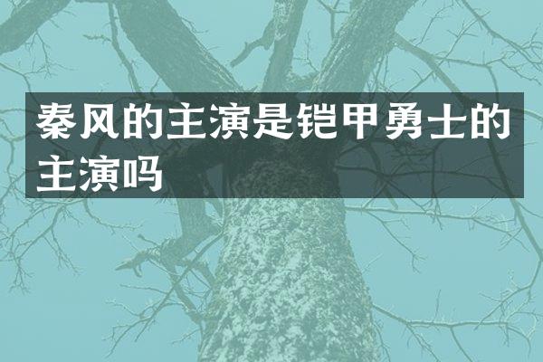 秦风的主演是铠甲勇士的主演吗