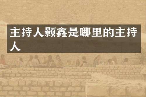 主持人颢鑫是哪里的主持人