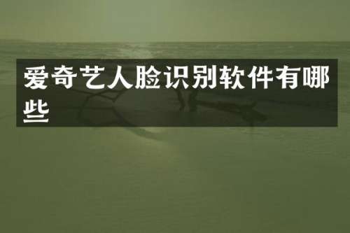 爱奇艺人脸识别软件有哪些