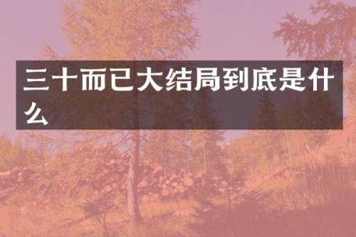 三十而已大结局到底是什么