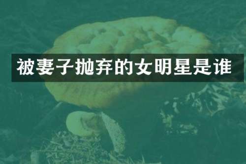 被妻子抛弃的女明星是谁