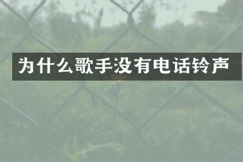 为什么歌手没有电话铃声