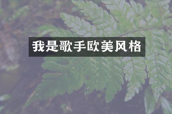 我是歌手欧美风格