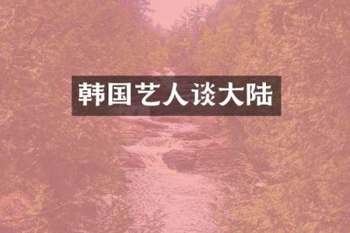 韩国艺人谈大陆